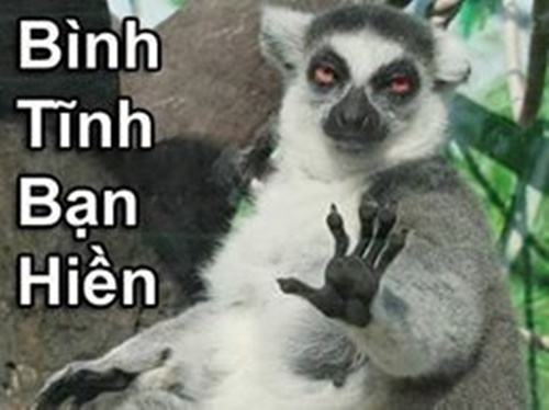 SẢN PHẨM 1 23 3 4 5T6 65